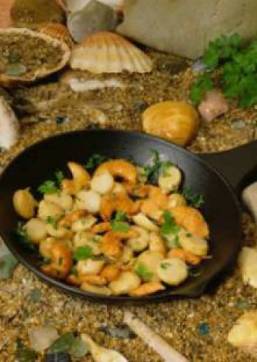 Coquilles Saint-Jacques à la provençale