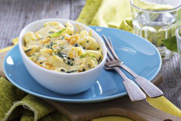 Gratin de pâtes aux blettes et béchamel