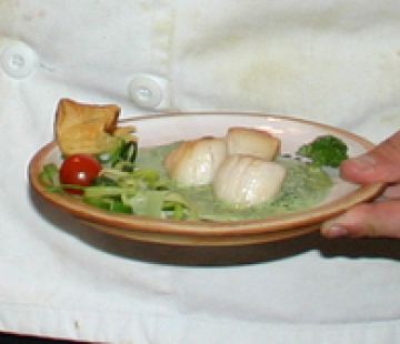 Noix de Saint-Jacques, crème de persil