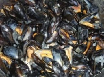 Moules à la crème et au vin blanc