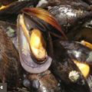 Soupe de moules aux pommes de terre primeur