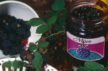 Confiture de mûres