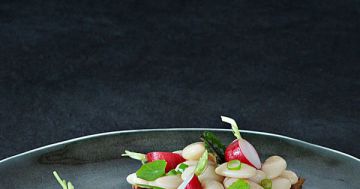 Joues de bœuf et salade de Haricots Tarbais