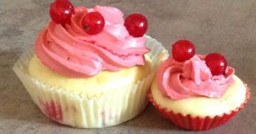 Cupcakes aux groseilles